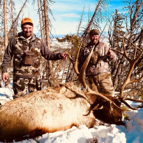 Trophy Bull Elk Hunts Wyoming