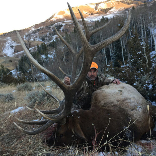 Wyoming Elk Outfitters