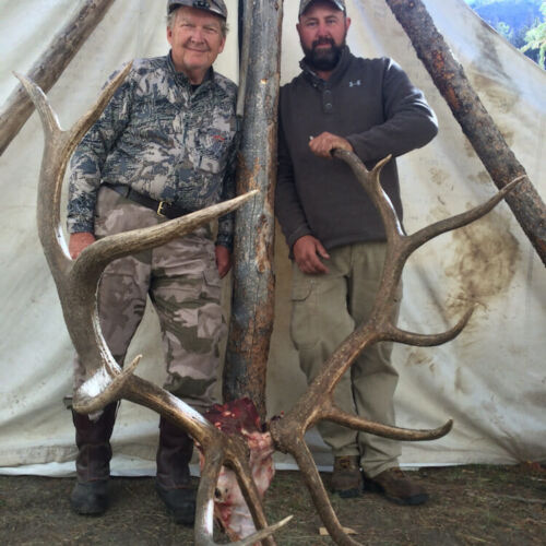 Elk Hunting In Meeteetse WY