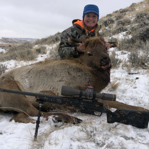 Hunt Cow Elk Wyoming