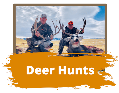 Wyoming Hunting For Deer
