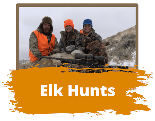 Wyoming Hunting Elk