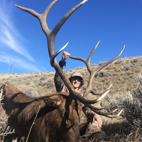 Fully Guided Wyoming Archery Elk Hunt