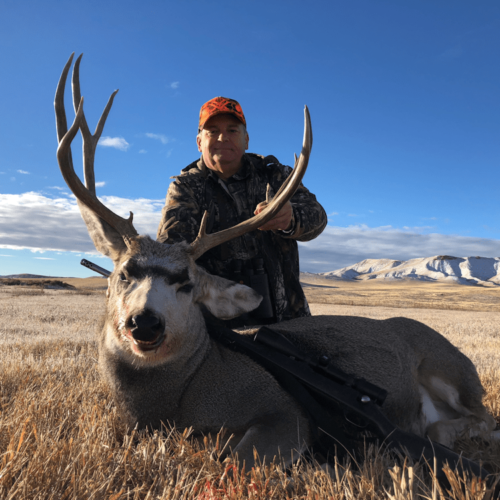 Hunting Mule Deer In Wyoming