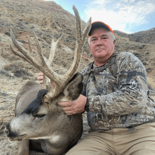 Mule Deer Buck Hunting NW Wyoming