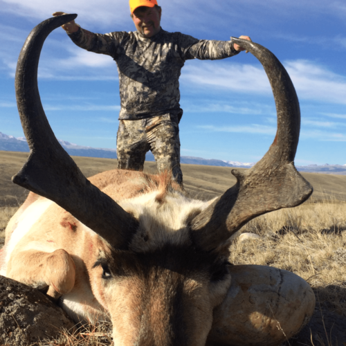 Wyoming Pronghorn Hunts