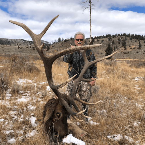 Rifle Bull Elk Taken In Wyoming