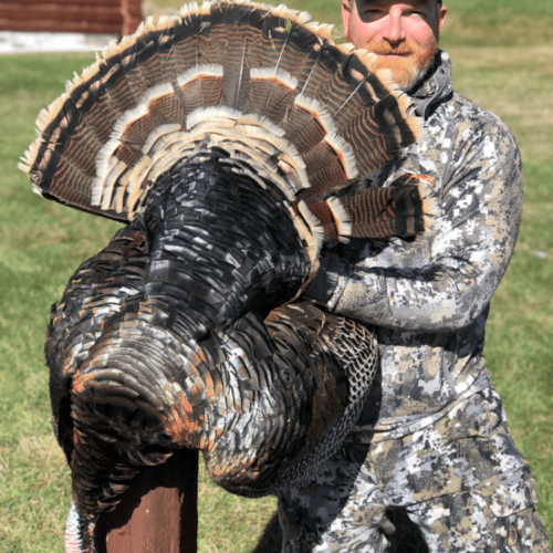 Wyoming Turkey Hunts