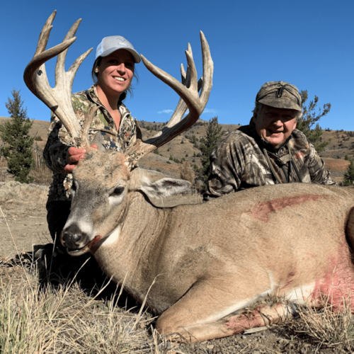 Wyoming Whitetail Deer Hunts