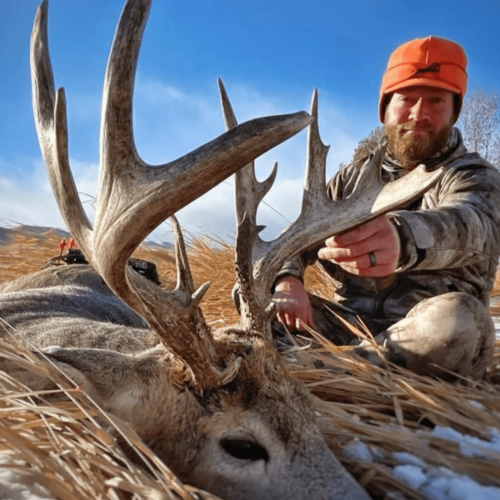 Hunt Whitetail In Wyoming Fields