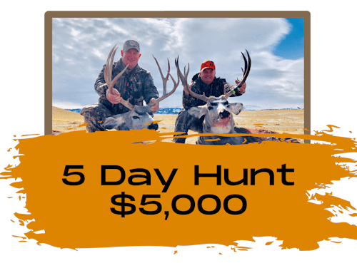 5 Day Deer Hunts In Wyoming