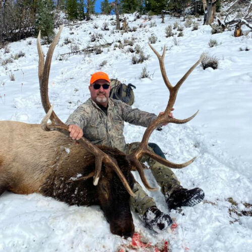 Rifle Season Bull Elk Hunt Wyoming