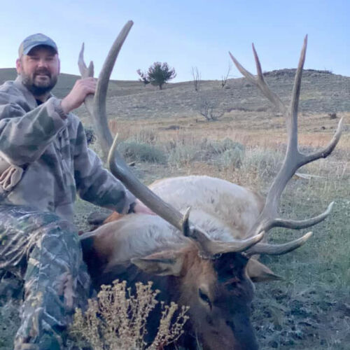 Hunting the Elk Rut in Wyoming