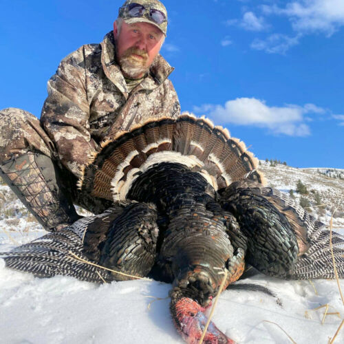 Wyoming Turkey Hunter with 2022 Spring Bird