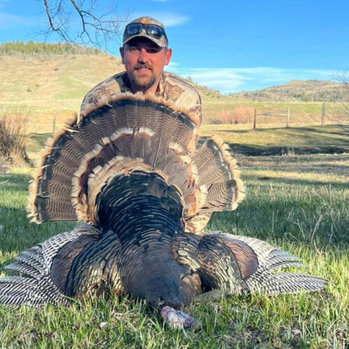 Guided Turkey Hunts in Wyoming