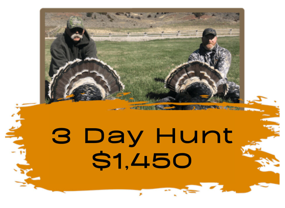 3 Day Turkey Hunt