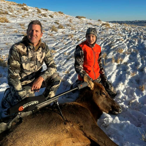 Rifle Cow Elk Hunt in Wyoming